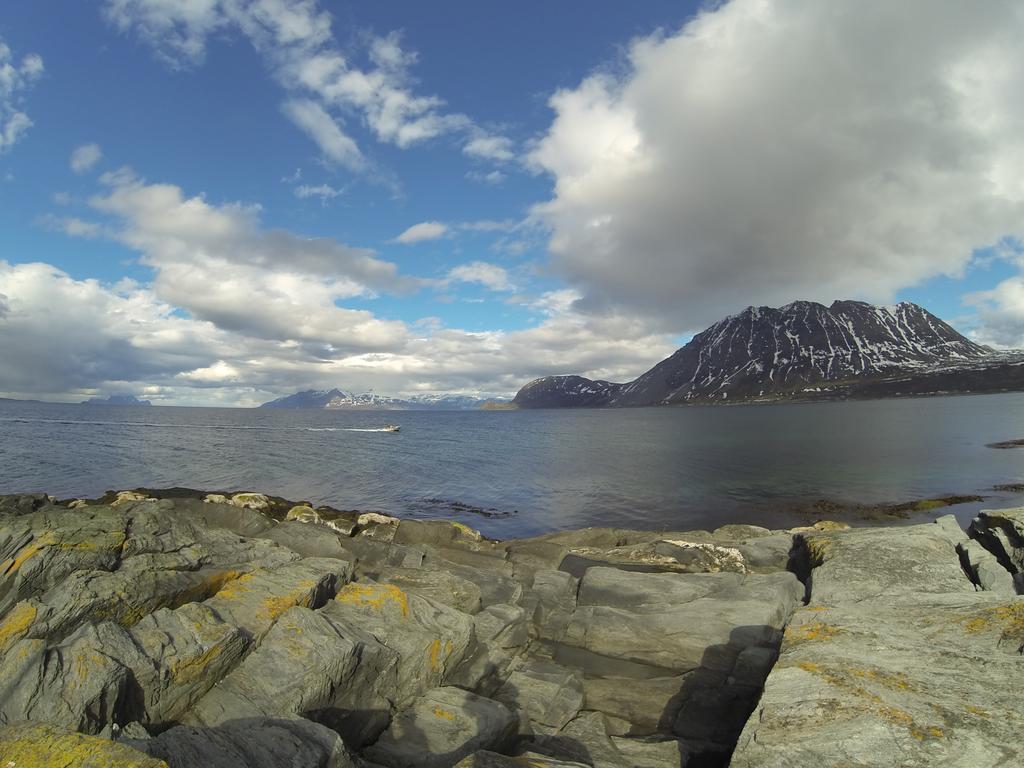 Villa Lyngen Fjordcamp Nord-Lenangen Exterior foto
