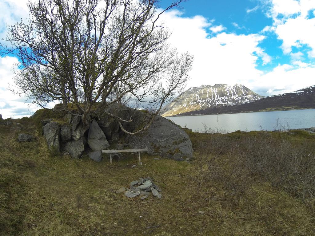 Villa Lyngen Fjordcamp Nord-Lenangen Exterior foto